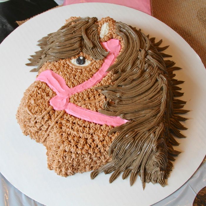 How to decorate wilton pony cake