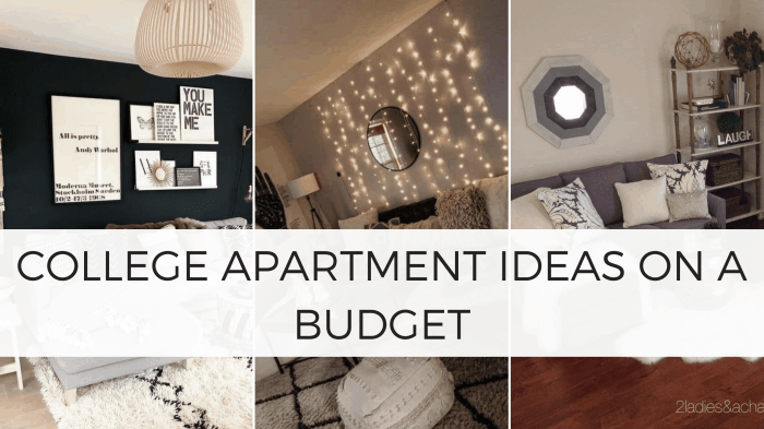 How to decorate a college apartment for cheap