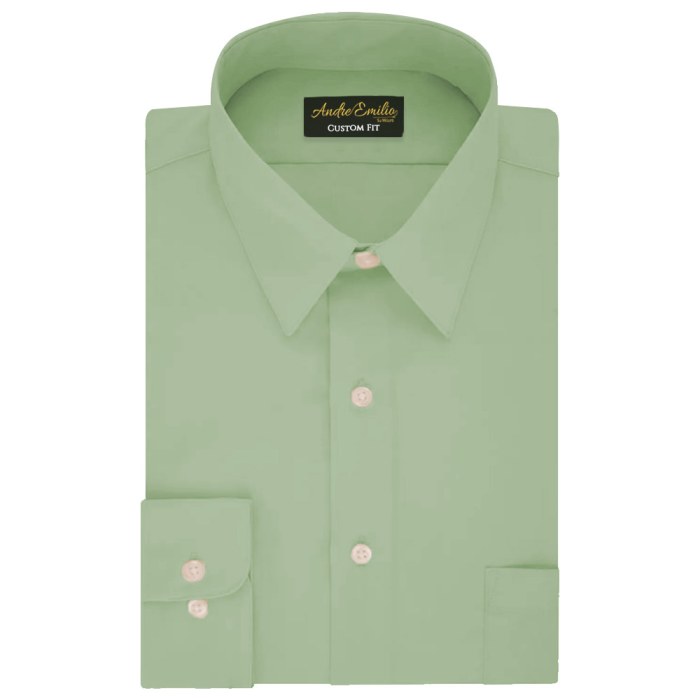 Polo green shirt light men assn tailored casual fit