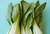 How to cook pak choi chinese style