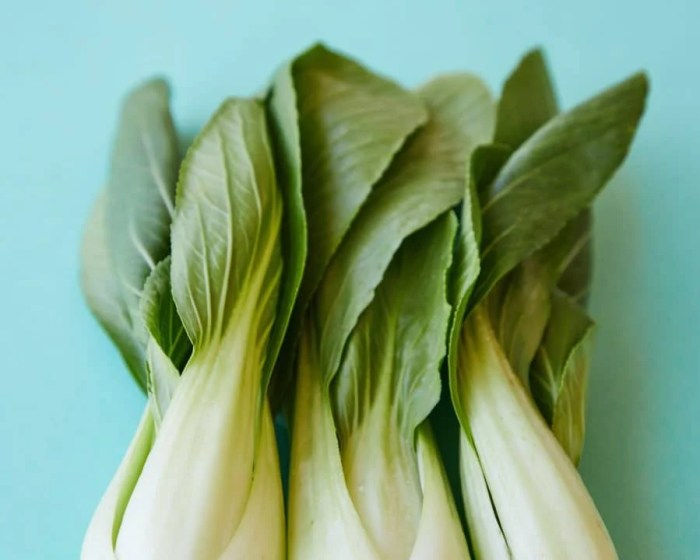 How to cook pak choi chinese style