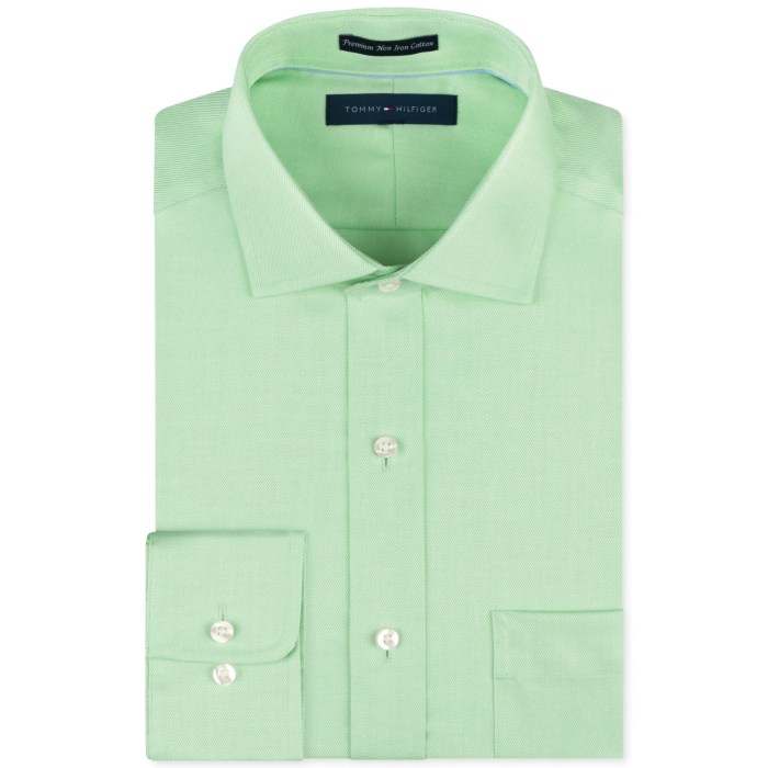 Pale green mens dress shirt